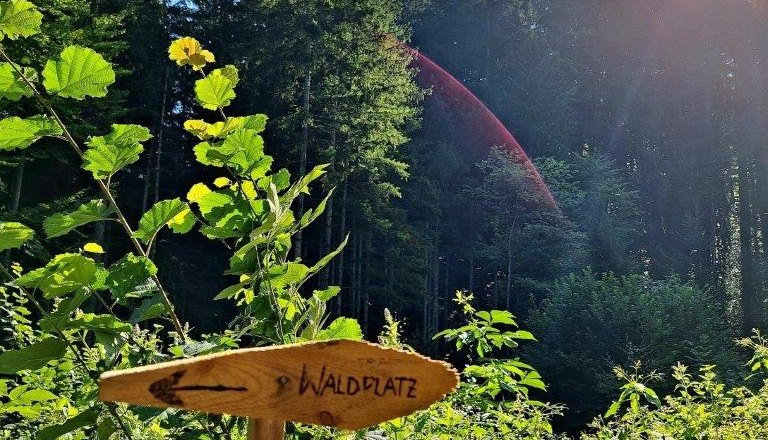 Waldbaden, &copy; Karin Redlsteiner