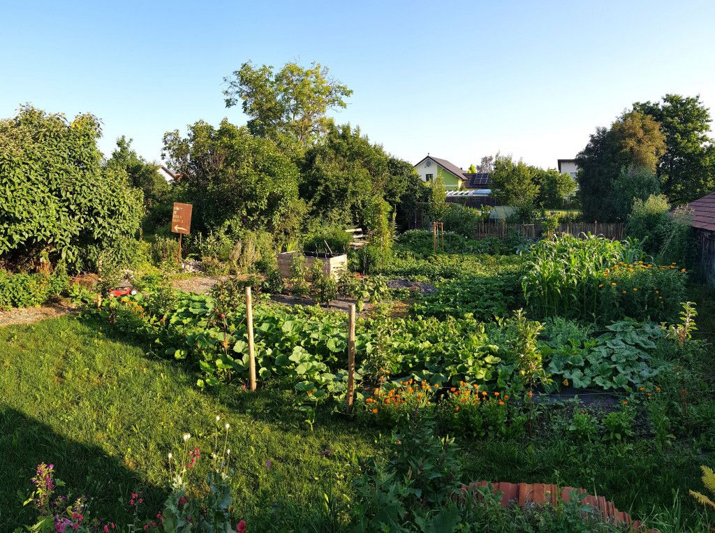 Hortus laetus
