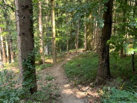 Pyhra Trail, &copy; MTB-Initiative St.P&ouml;lten
