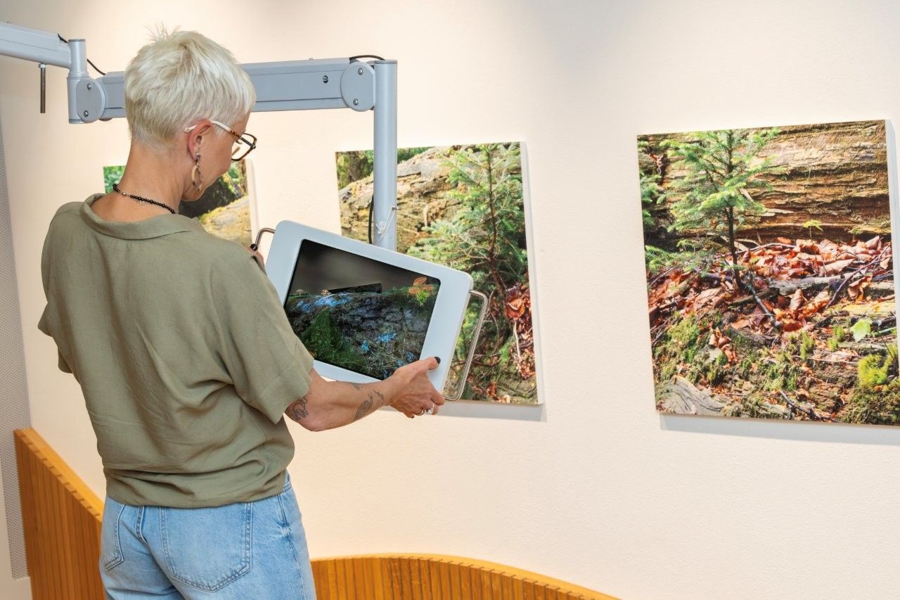 Haus der Wildnis