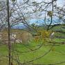 View of St. Leonhard am Walde in spring, &copy; Ybbstaler Alpen