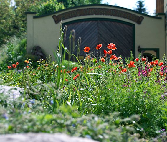 Blühender Garten mit roten Mohnblumen vor einem Gebäude mit Holztor.