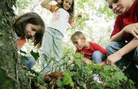 Kinder, &copy; weinfranz.at