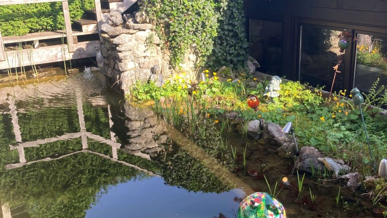 Biotop, © Haus Anton