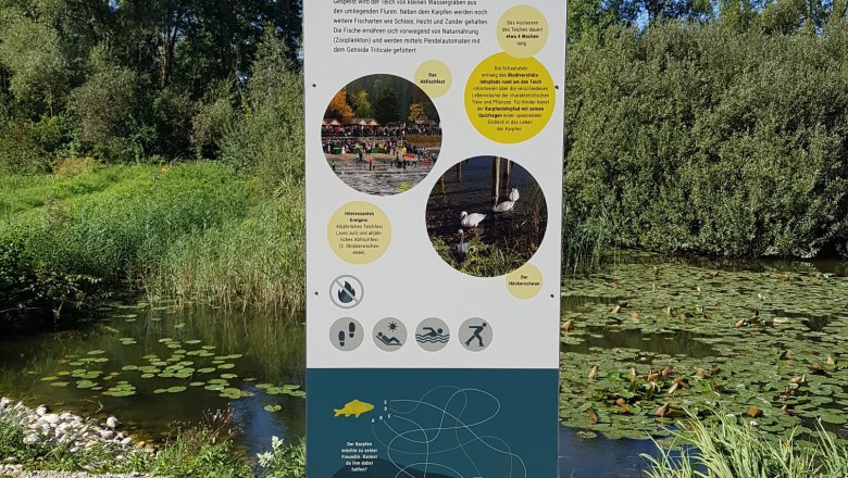 Informationsschild am Sitzenberger Schlossteich mit Text und Bildern, umgeben von Natur und Teich.