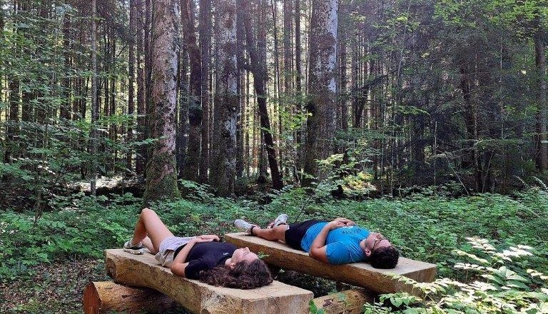 Forest bathing, &copy; Karin Redlsteiner