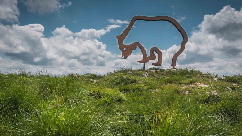 B&auml;r, &copy; Familie Demolsky