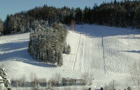 Verschneite Skipiste mit Wald im Hintergrund.
