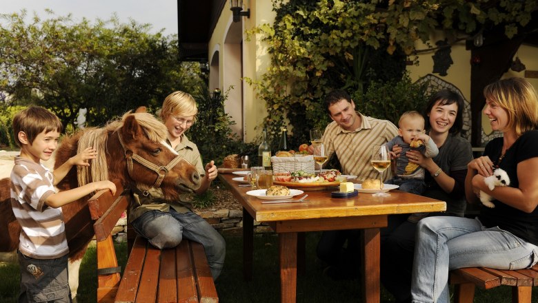 Familie sitzt im Garten an einem Tisch mit Essen, ein Kind streichelt ein Pony, ein Baby wird gehalten, eine Frau hält ein Kaninchen.