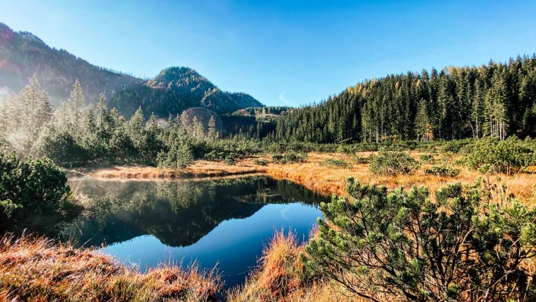 Leckermoor nature reserve, © Heidi Zettel