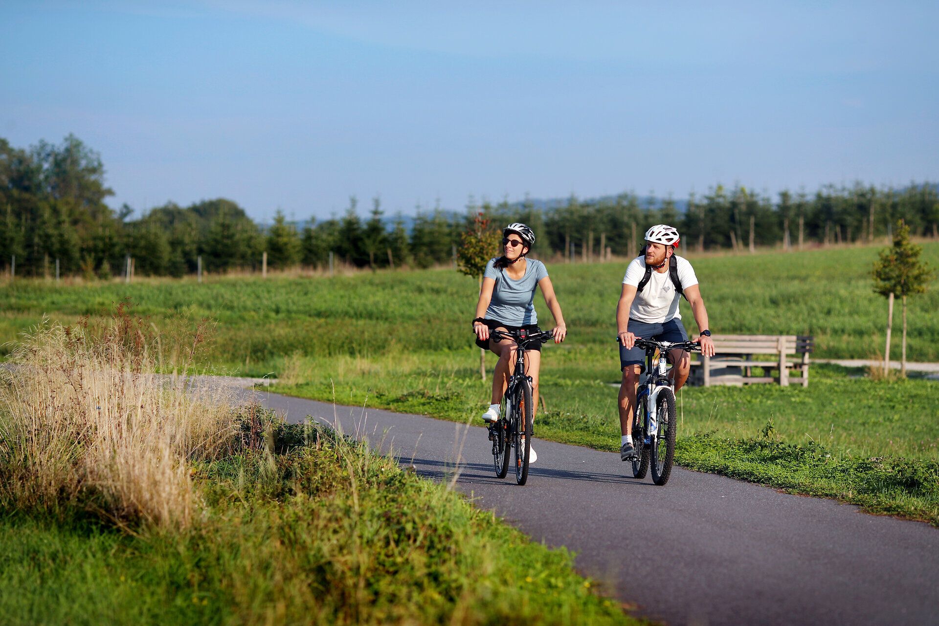 Zwei Radfahrer genießen die sanften Hügel des Melker Alpenvorlands an einem sonnigen Sommertag. Umgeben von üppigem Grün und blühenden Wiesen, strahlt die Landschaft eine einladende Ruhe aus, die zum Verweilen und Erkunden einlädt.