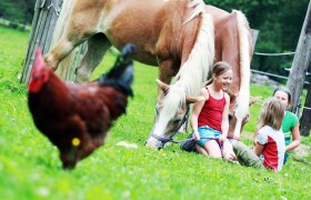 Having fun with horse and chicken, &copy; weinfranz.at