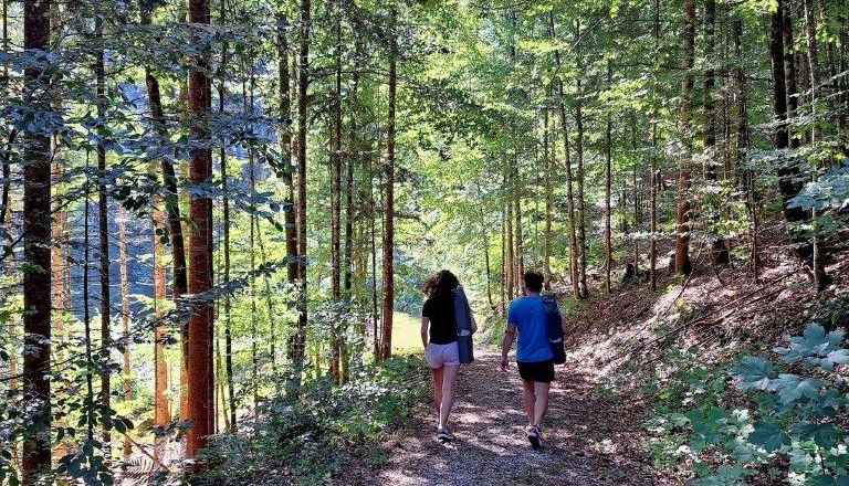 Waldbaden, &copy; Karin Redlsteiner
