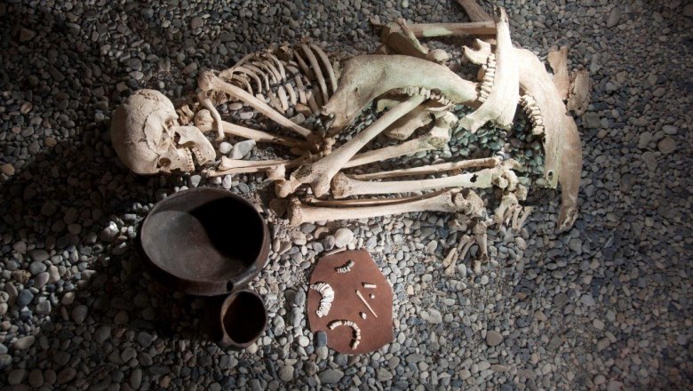 Female burial from Franzhausen II on display at Nussdorf Museum, © Jakob Maurer