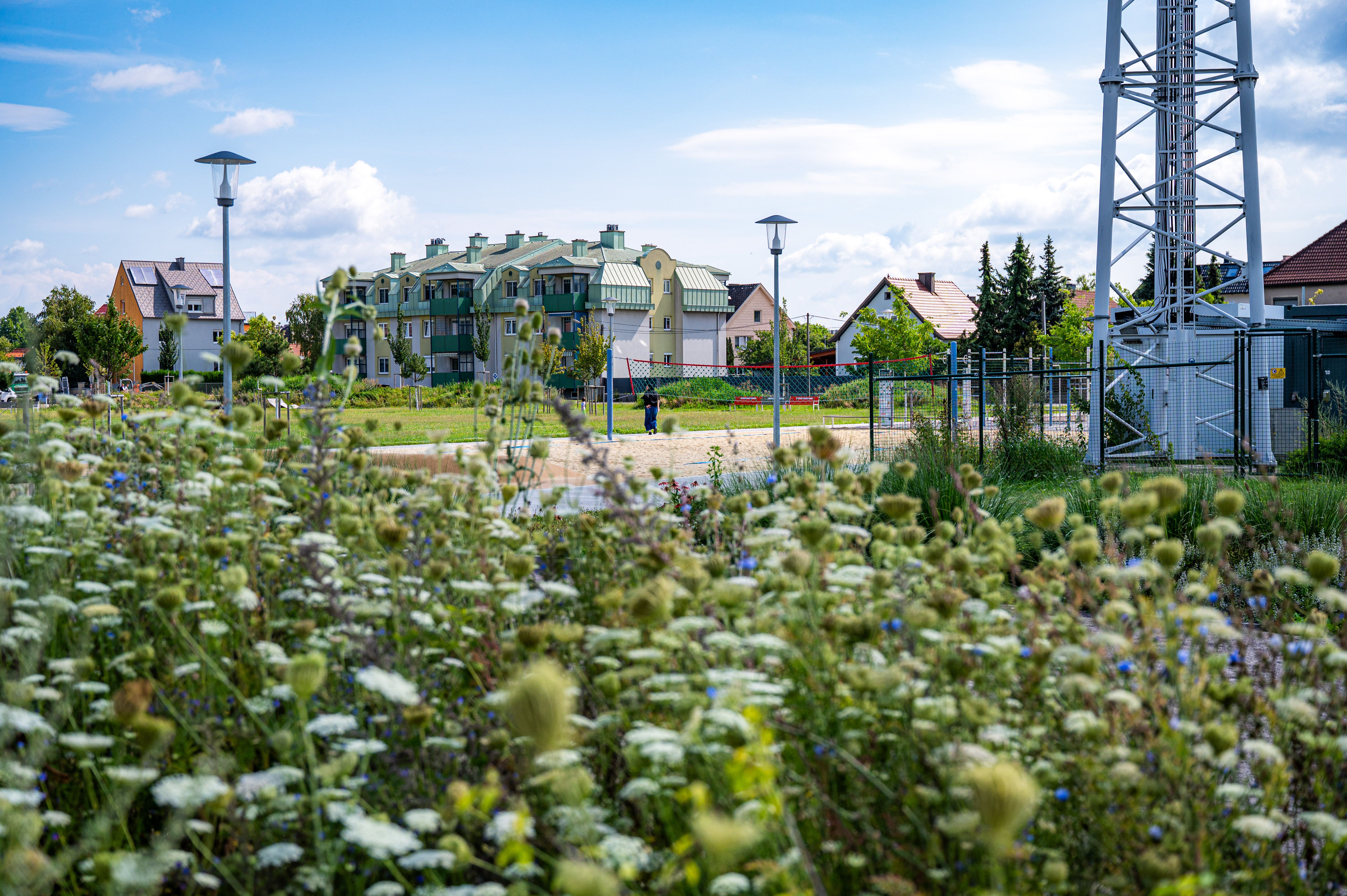 Sturm 19 Park