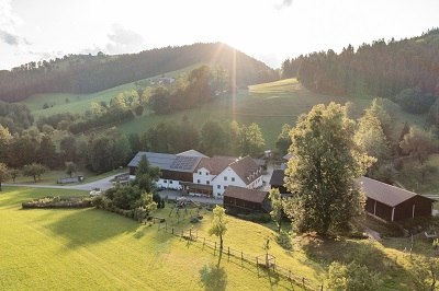 Aerial view over the lime tree, &copy; Einkehrhof Poggau