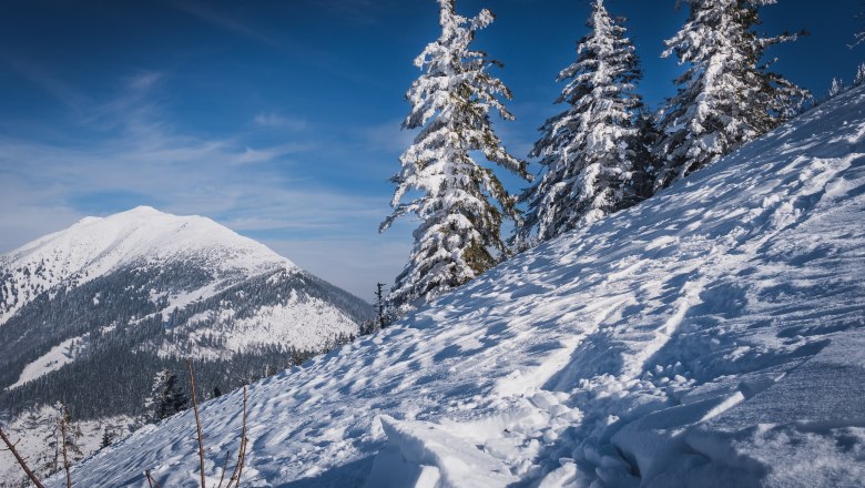 Winterstimmung, &copy; Gerald Demolsky