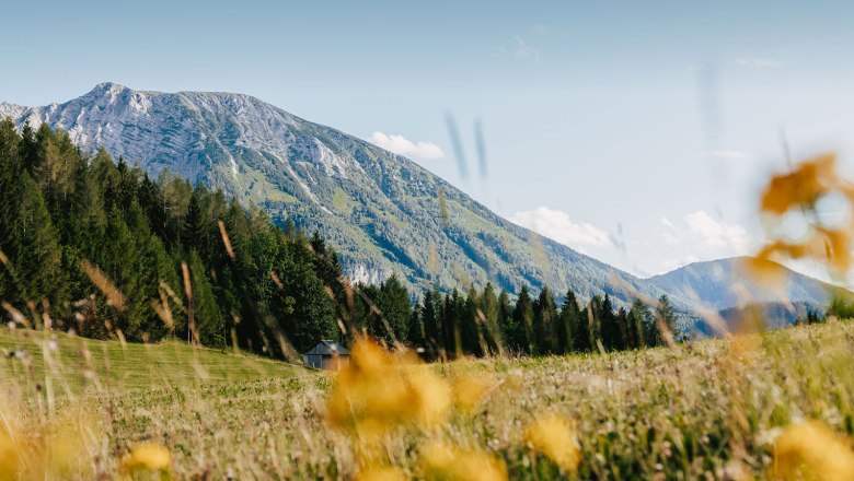 Nestelberg 17, © Sabine Wieser