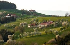 Photo point St. Peter in der Au, &copy; schwarz-koenig.at