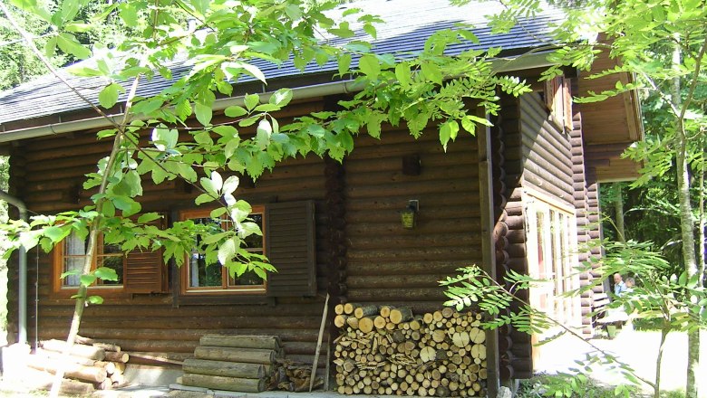 Blockhütte im Wald mit Holzstapel und grünen Blättern im Vordergrund.
