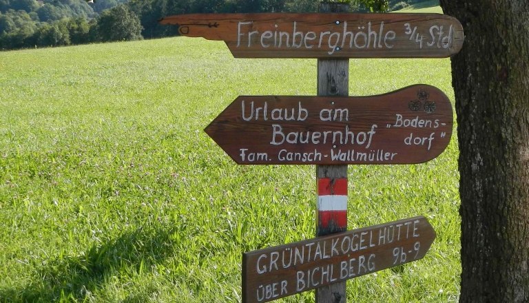 Wegweiser zur Freinbergh&ouml;hle und anderen Zielen auf einer Wiese.