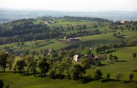 Moss photo point, © schwarz-koenig.at