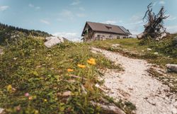 Wanderweg bei der Ybbstalerhütte im Gebiet des Lunzer Sees.