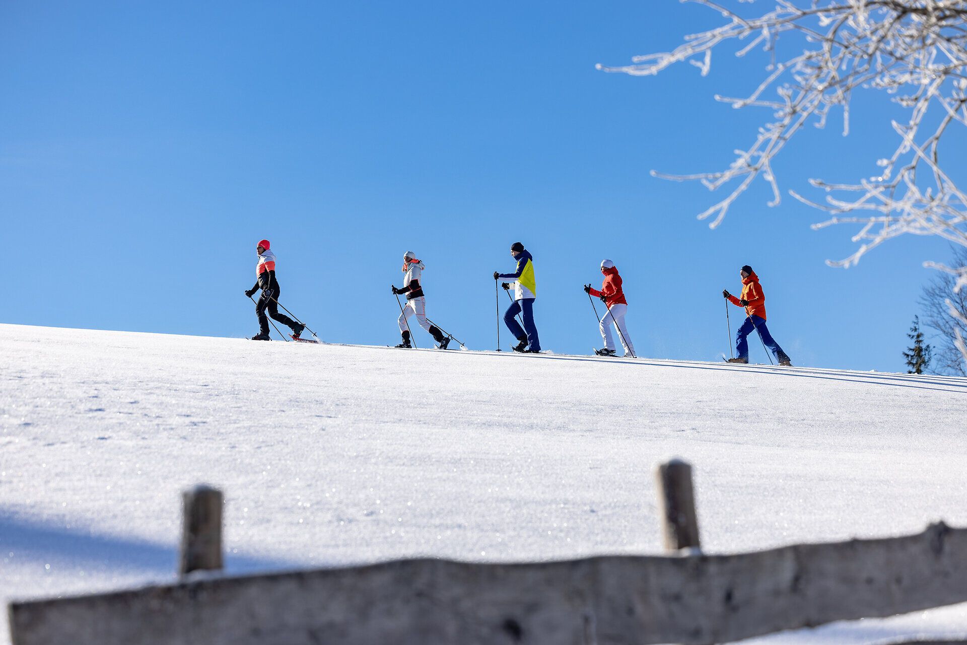 Eine Gruppe von Freunden genießt die frische Winterluft beim Schneeschuhwandern in der malerischen Winterlandschaft. Die schneebedeckten Hügel und der strahlend blaue Himmel schaffen eine perfekte Kulisse für unvergessliche Erlebnisse in der Natur.
