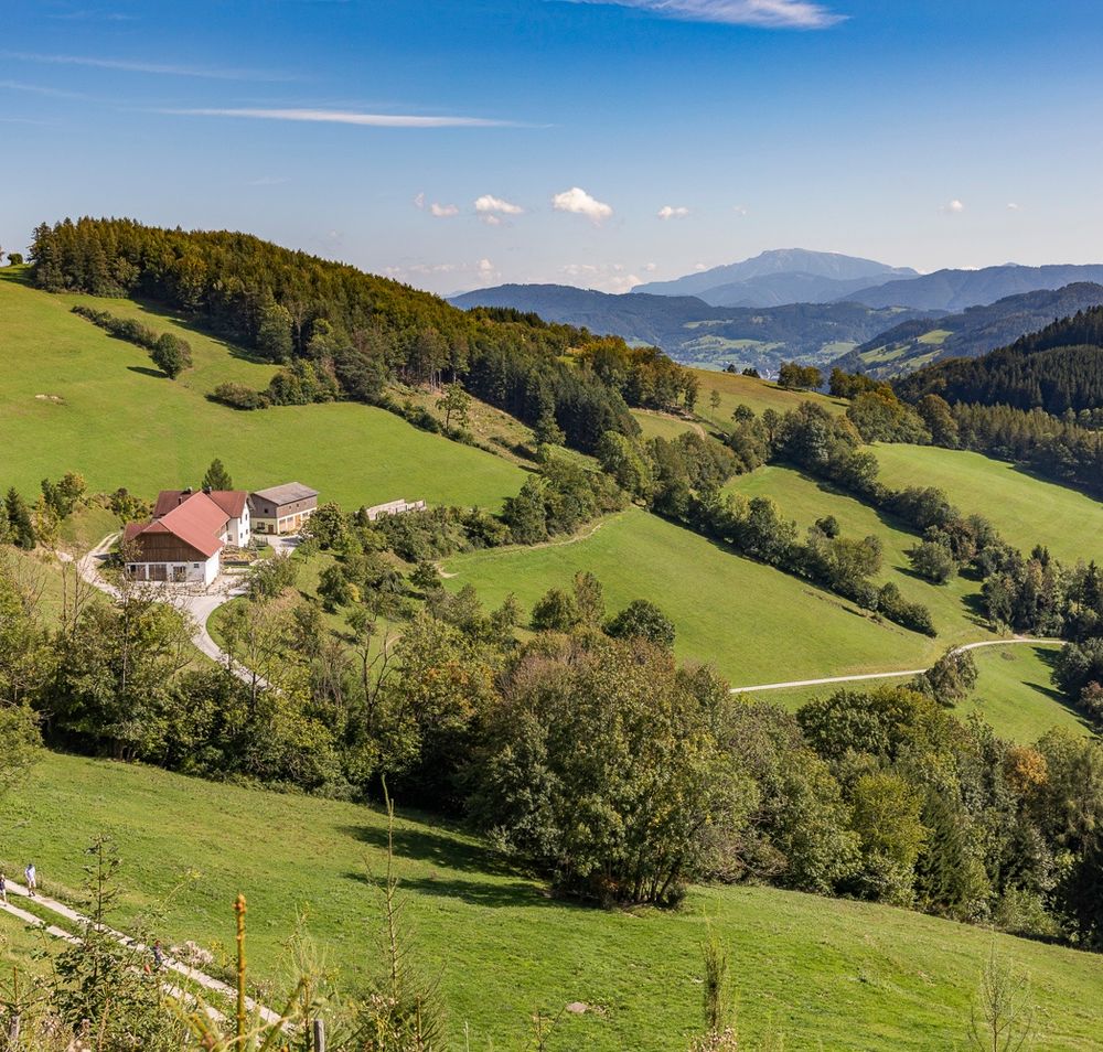 Almhaus Hochkogel