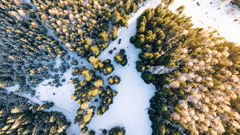 Nestelberg 17, © Sabine Wieser