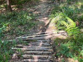 Pyhra Trail, &copy; MTB-Initiative St.P&ouml;lten