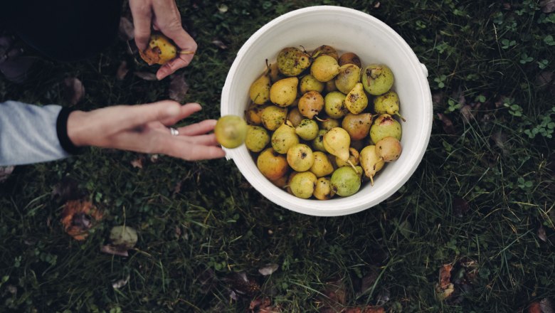 Pihringers Moststub'n, © Moststraße, dochbodnliacht