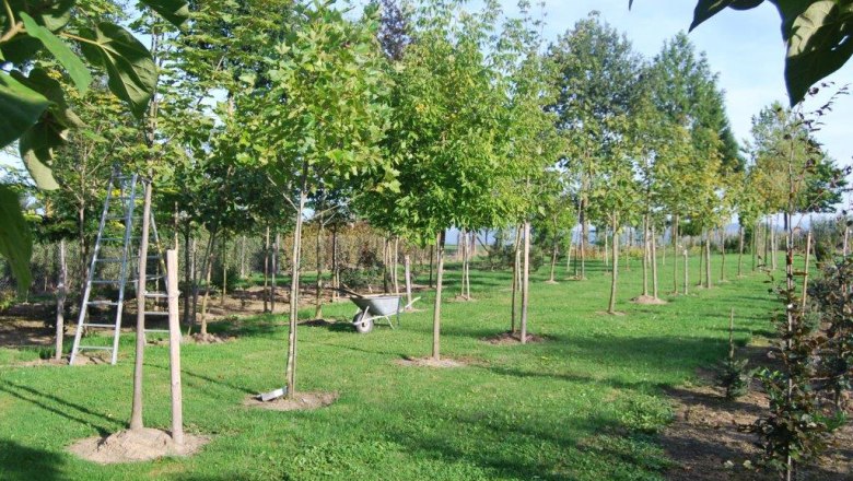 Huber Garden Design & Nursery, &copy; Gartengestaltung & Baumschule Huber