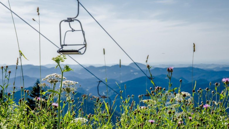 Travel up and down the mountain with the cable car, © Ludwig Fahrnberger