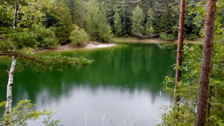 Ein grüner See umgeben von Bäumen und Wald.