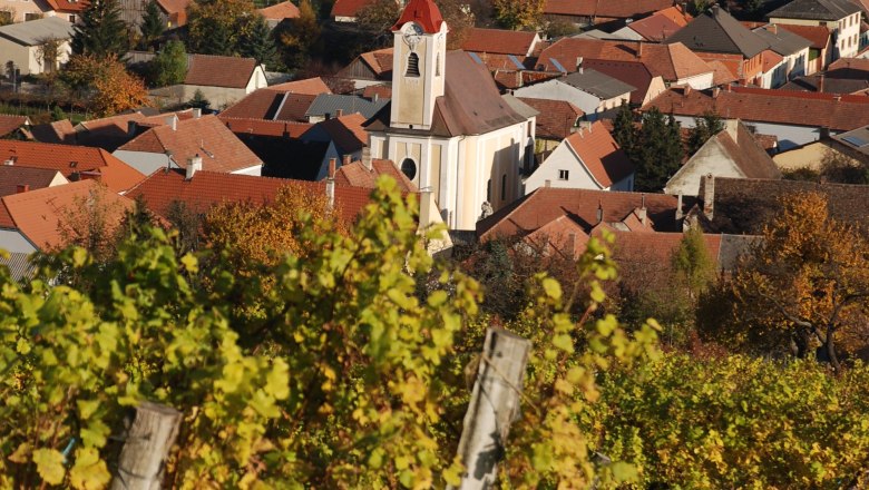 View of a church in a village surrounded by vineyards in the fall.