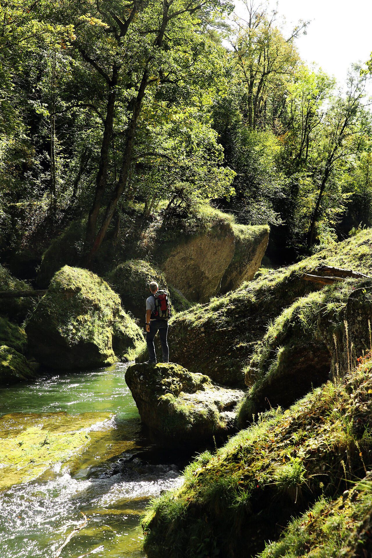 Die sanften Wellen der Erlauf schlängeln sich durch die üppige, grüne Landschaft, während das Licht der Sonne durch das Blätterdach der Bäume tanzt. Ein Wanderer genießt die Ruhe und die frische Luft, umgeben von der beeindruckenden Natur, die hier in voller Pracht erblüht.