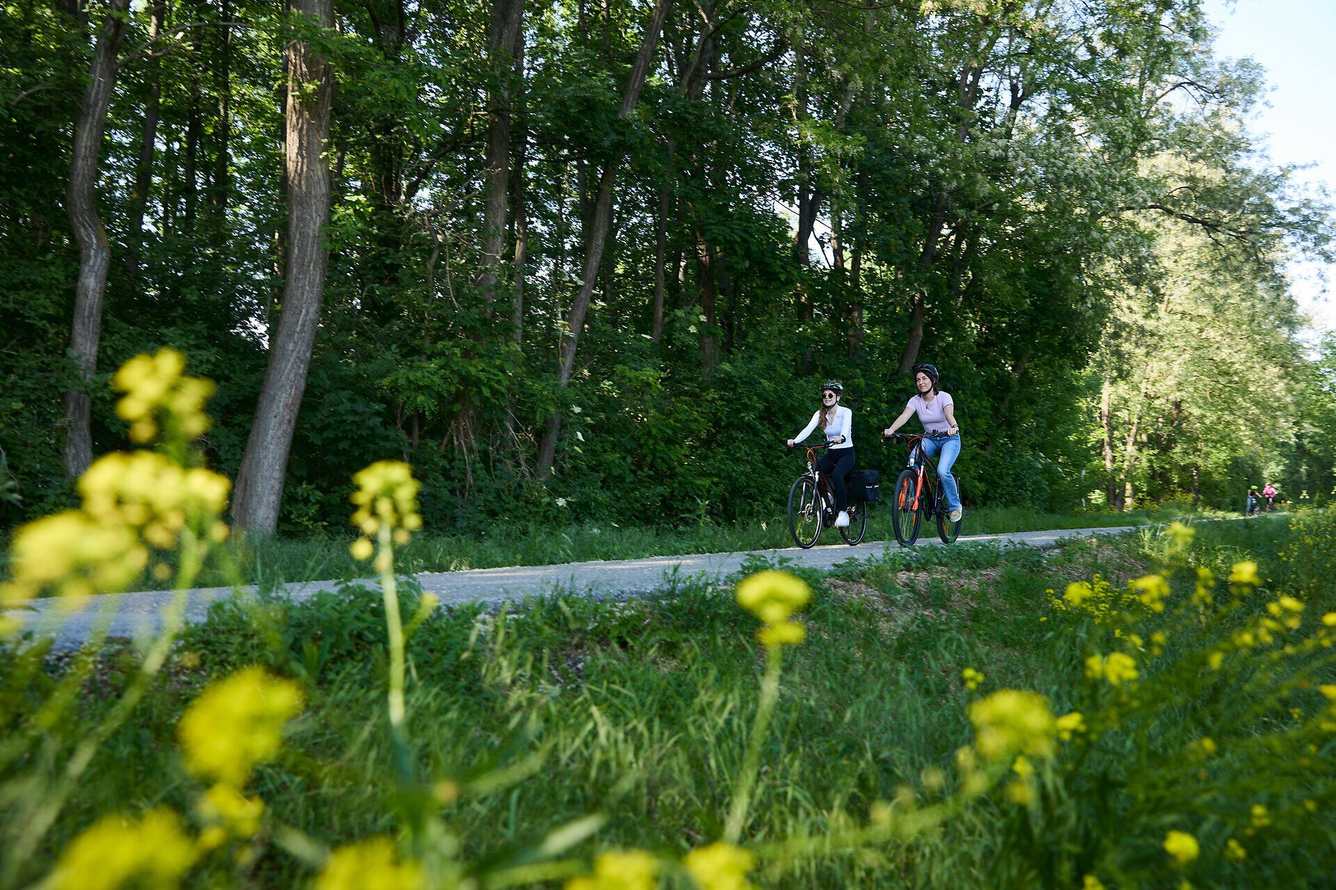 Zwei Radfahrerinnen genießen die frische Luft und die malerische Landschaft entlang eines Radwegs, umgeben von üppigem Grün und bunten Wildblumen. Die sanften Hügel und der dichte Wald schaffen eine einladende Atmosphäre für alle, die die Natur erleben möchten.