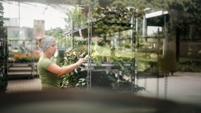 Starkl Erlebnisgarten, © Moststraße, dochbodnliacht