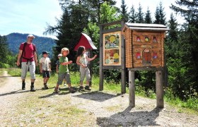 Schaubienenstock am Moorweg, &copy; Mostviertel