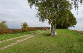 Hamesbergh&ouml;he, &copy; Mostviertel