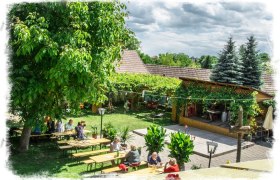 Garten im Sommer, &copy; Marchsteiner