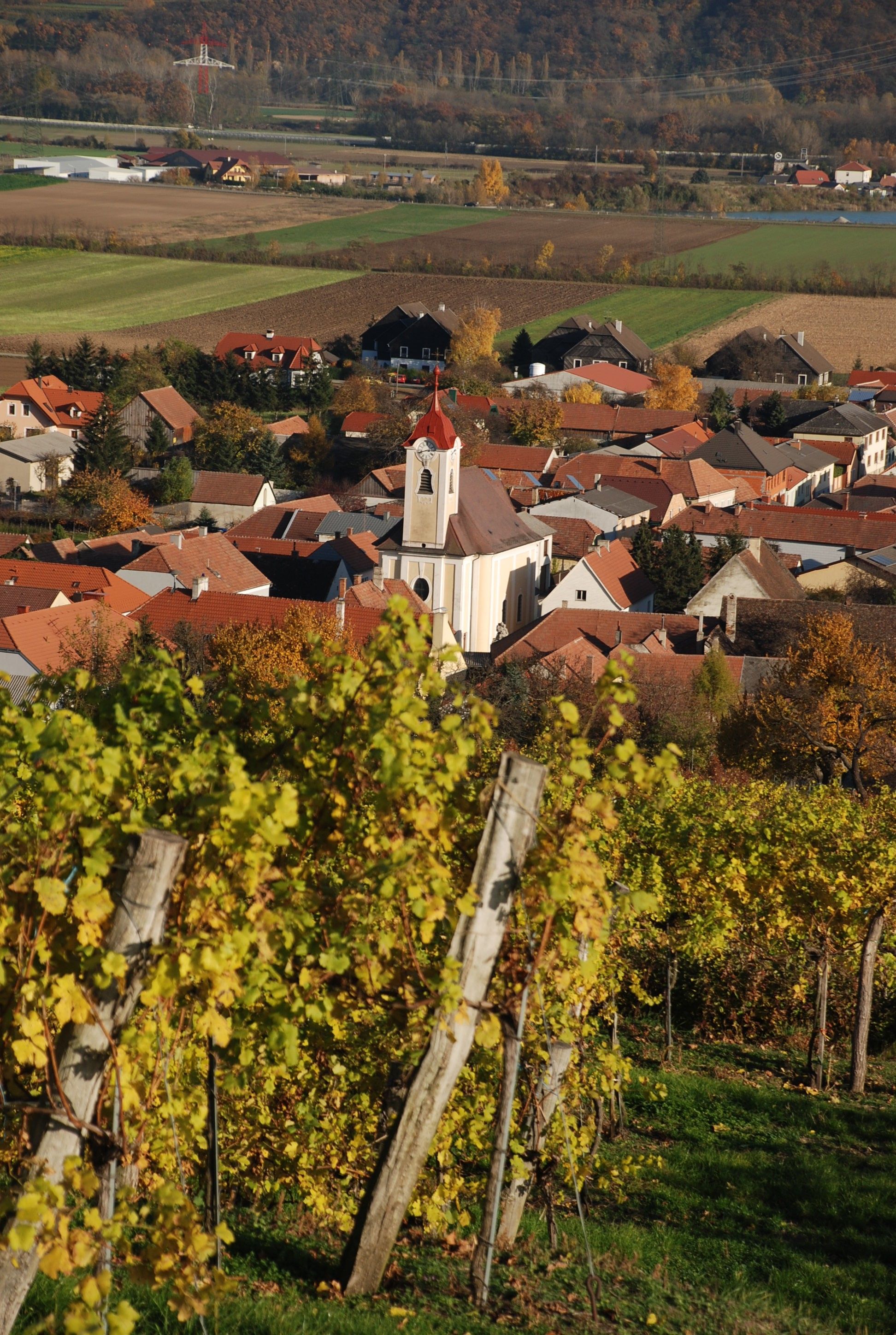 Blick auf eine Kirche in einem Dorf, umgeben von Weinbergen im Herbst.