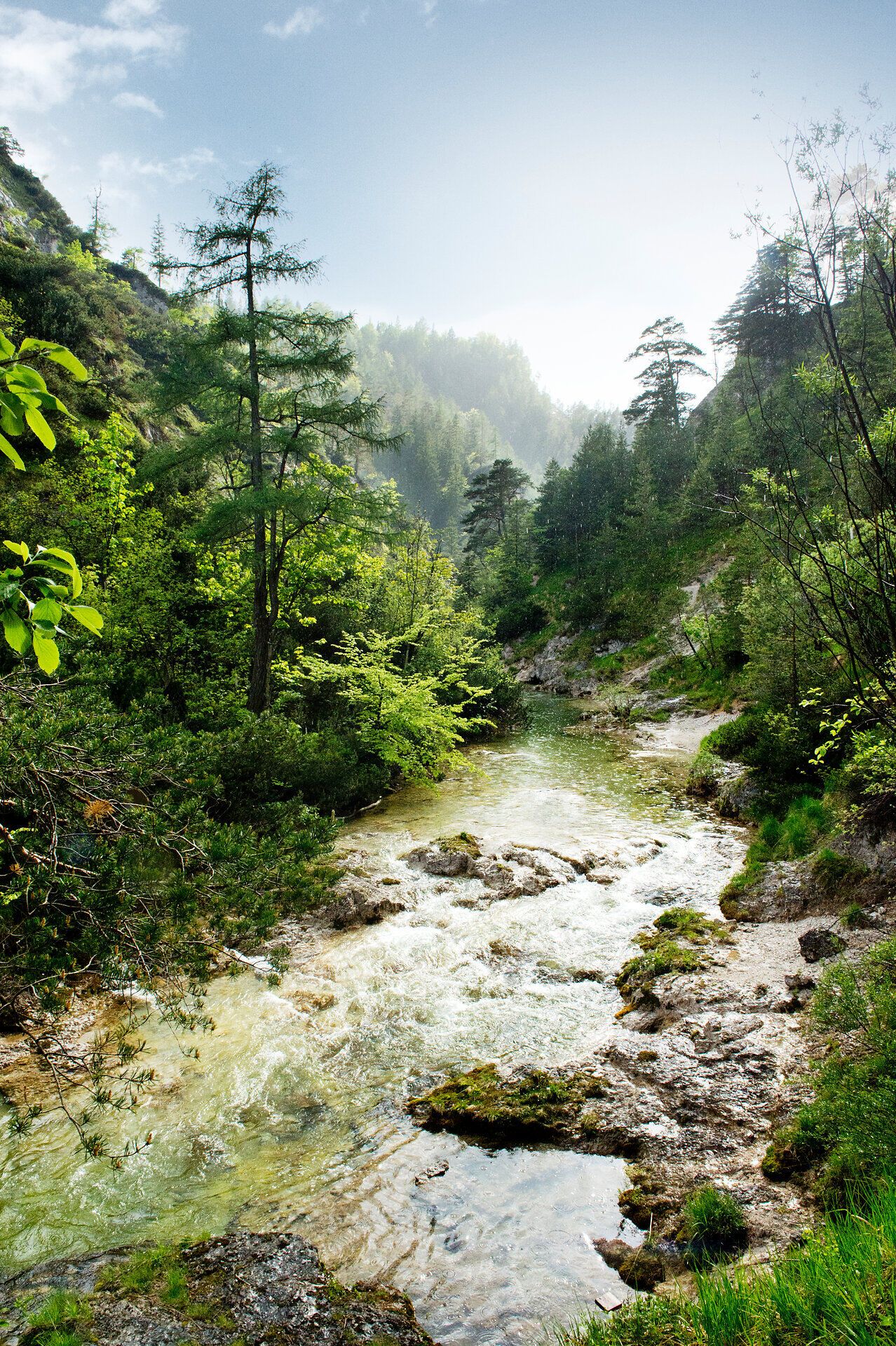 Ein sanfter Fluss schlängelt sich durch die üppige, grüne Landschaft der Ötschergräben, umgeben von majestätischen Bäumen und sanften Hügeln. Die frische, klare Luft und das sanfte Plätschern des Wassers schaffen eine friedliche Atmosphäre, die zum Verweilen und Entspannen einlädt.
