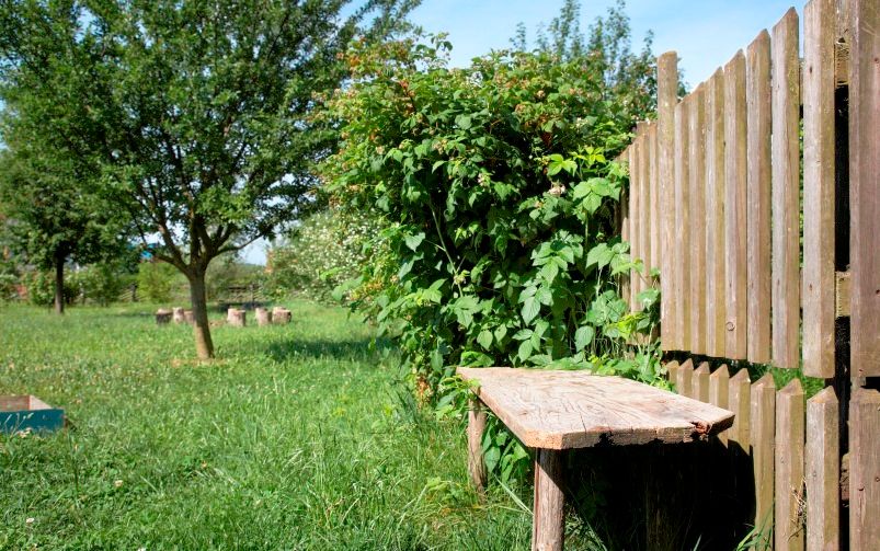 Holzbank neben einem Holzzaun in einem grünen Garten mit Bäumen.