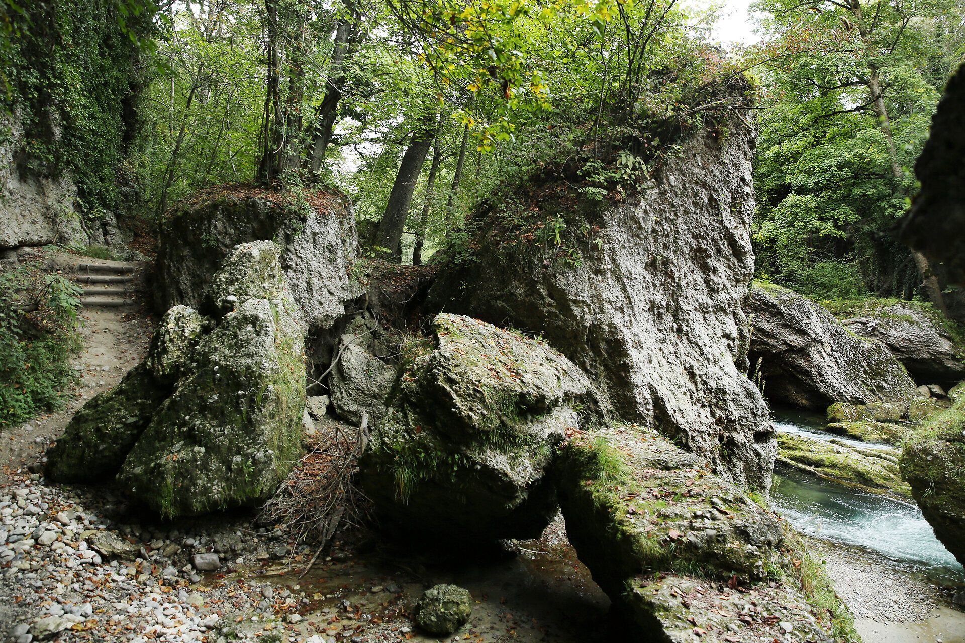 Die Erlaufschlucht verzaubert mit ihren majestätischen Felsformationen und dem klaren, plätschernden Wasser der Erlauf. Umgeben von üppigem Grün und dem Gesang der Vögel, lädt dieser Ort zum Verweilen und Entspannen ein. Hier erleben Wanderer die harmonische Verbindung von Natur und Ruhe.