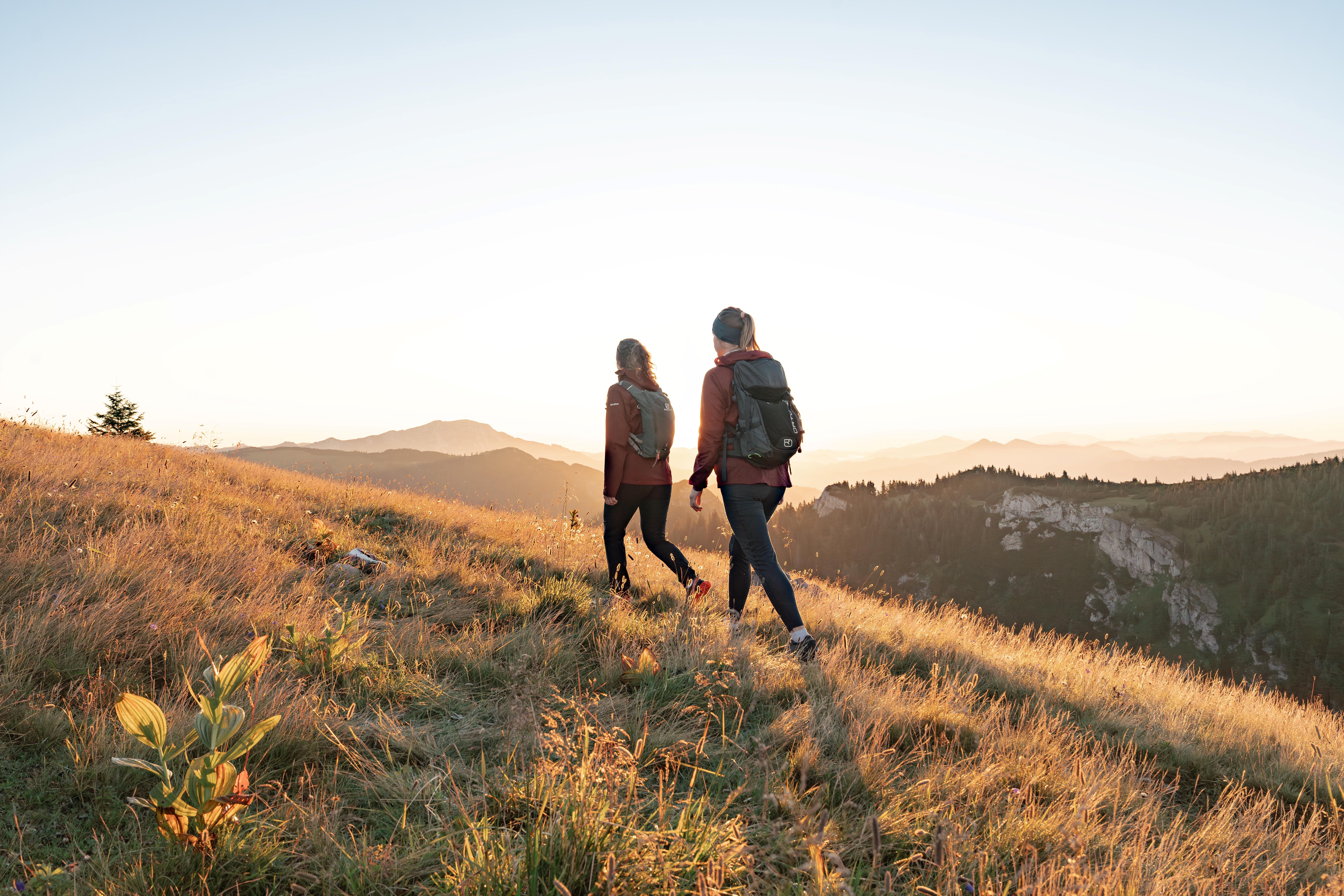 Wanderung im Mostviertel 