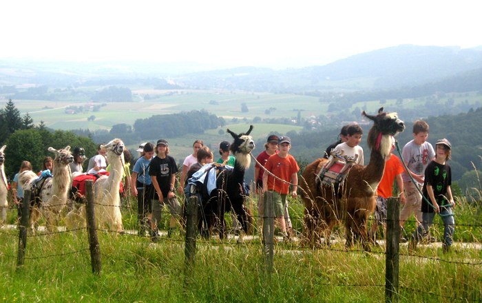 Gruppe von Menschen und Lamas auf einem Wanderweg mit Landschaft im Hintergrund.