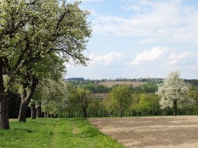 Na cestě po rodinn&eacute; cyklostezce Seitenstetten, &copy; Marktgemeinde Seitenstetten