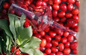 Ein Weinglas liegt auf roten Früchten und grünen Blättern.